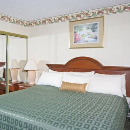 Comfort Inn River Ridge Asheville Bagian luar foto